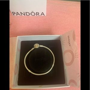 Two Tone Pandora Bracelet